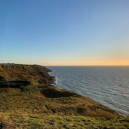 Chez Aline & Seb 公寓 滨海布洛涅