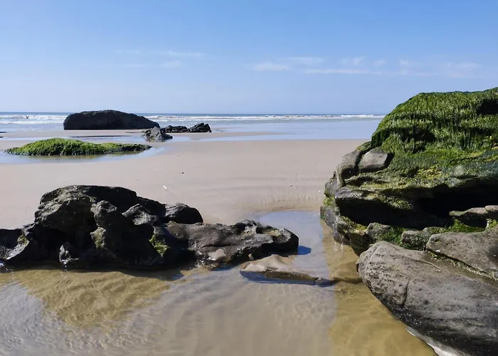 公寓 Chez Aline & Seb